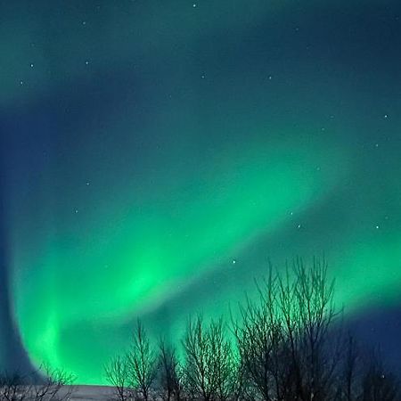 Tromsdalen Aurora Apartments Тромсьо Екстериор снимка