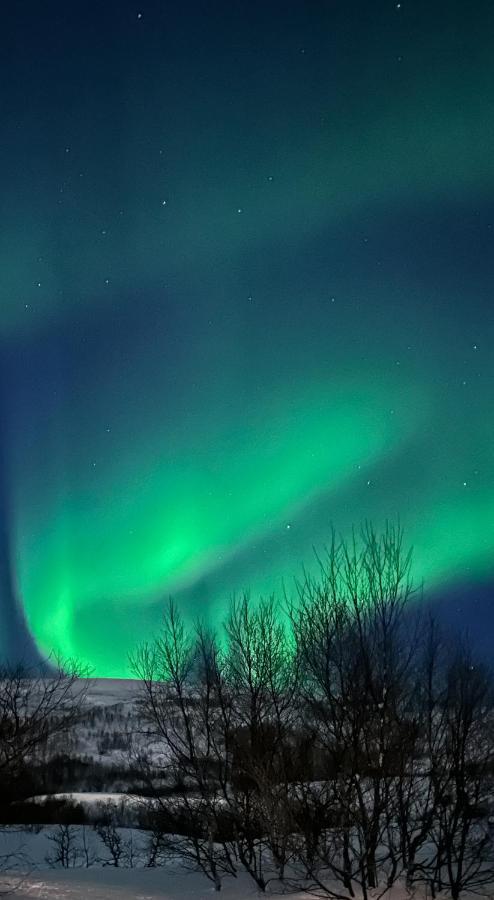 Tromsdalen Aurora Apartments Тромсьо Екстериор снимка